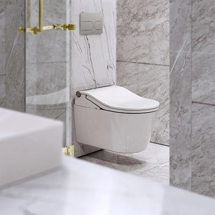 TOTO Washlet RW Japans toilet Silver Trim - Image 5