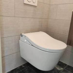 TOTO Washlet RW Japans toilet Silver Trim - Image 23