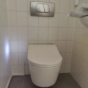 TOTO Washlet RW Japans toilet Silver Trim - Image 24