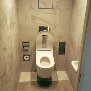 TOTO Washlet RW Japans toilet Silver Trim - Image 8