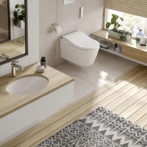 TOTO Washlet RW Japans toilet Silver Trim - Image 9